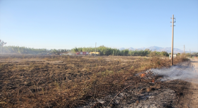 Antalya’da sazlık alanda çıkan yangın söndürüldü