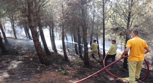 Hatay’da ormanlık alanda çıkan yangın söndürüldü