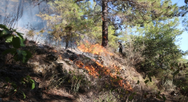 Alanya’daki orman yangını kontrol altına alındı