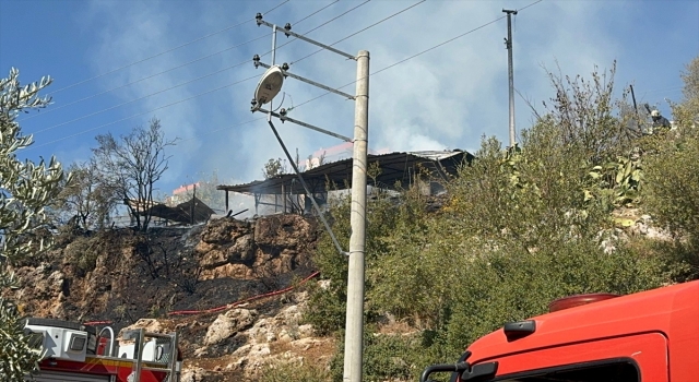 Antalya’da ağılda çıkan yangında 50 küçükbaş hayvan telef oldu