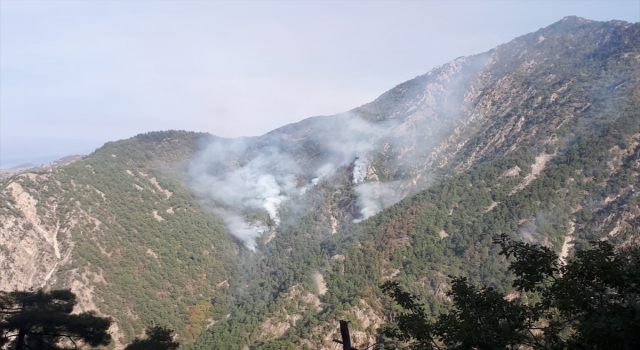 Kahramanmaraş’taki orman yangınına müdahale sürüyor