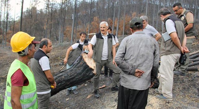 Karatepe’deki yanan ormanlar, yeniden yeşerecek
