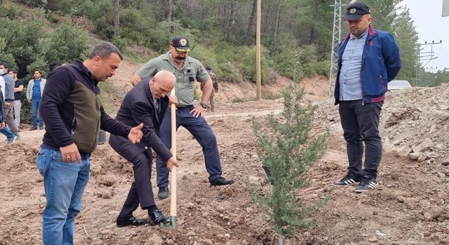 Polis Hatıra Ormanında 177 fidan dikildi