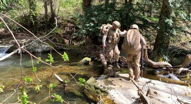 Amanos kırsalında 2 Terörist etkisiz hale getirildi