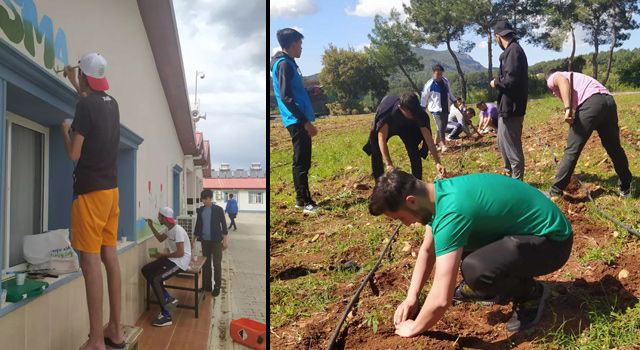 Gençler fide dikti, boyama ve peyzaj çalışması yaptı