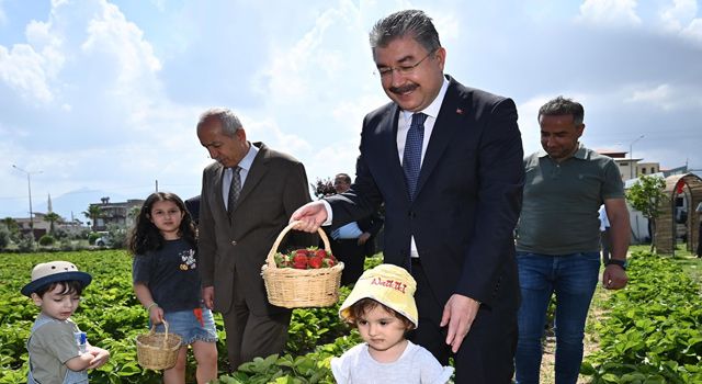 Osmaniye Valisi Erdinç Yılmaz, çocuklarla çilek topladı