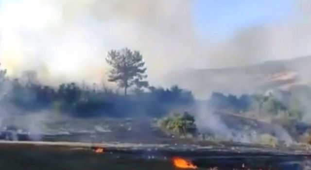 Kadirli’de orman yangını, 2 dekarlık alan zarar gördü