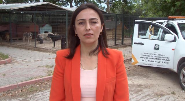 Osmaniye’de, sokak hayvanları için 24 saat klinik hizmeti