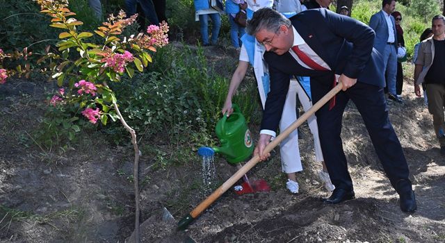 Şehitler hatıra ormanı yeni fidanlarla buluştu