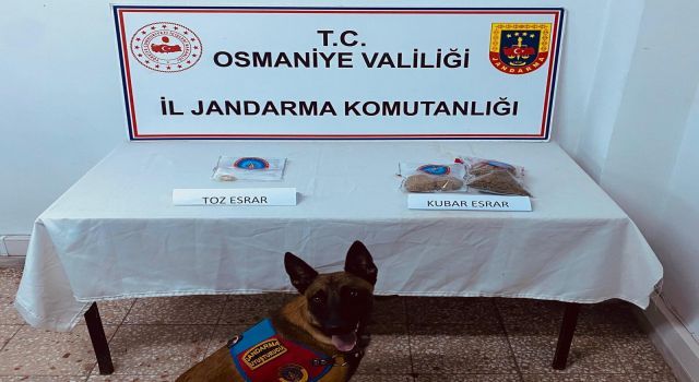 Jandarmadan Uyuşturucu Operasyonu