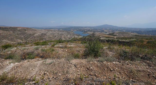 Osmaniye’de ağaçlandırma çalışmaları yapılıyor