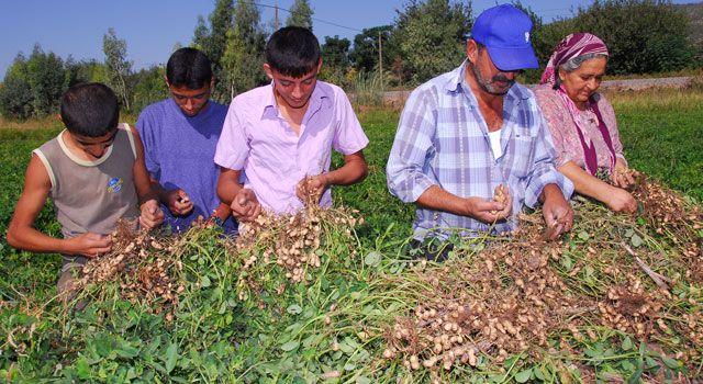 Coğrafi İşaretli Ürünün Faydaları Saymakla Bitmiyor