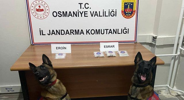 Uyuşturucu Operasyonunda 16 kişi Gözaltına Alındı