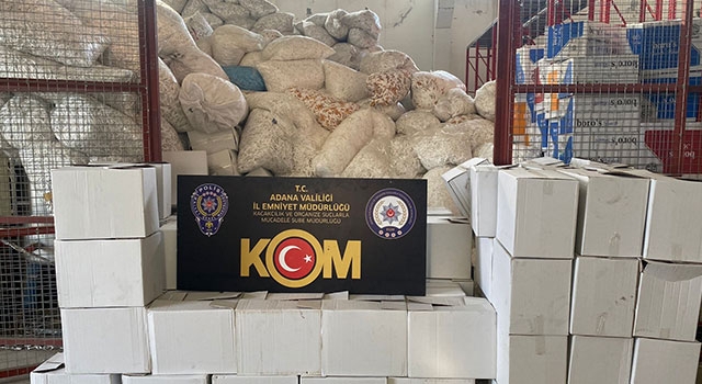 Adana’da 43 milyon 750 bin makaron ele geçirildi