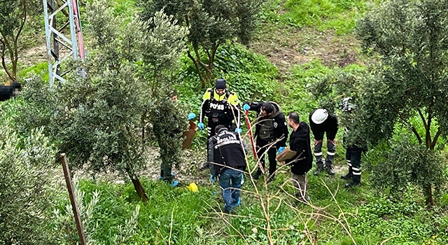 Hatay’da bir kişi zeytin bahçesinde ölü bulundu