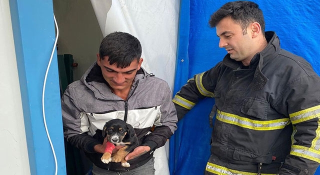 İskenderun’da konteynere sıkışan köpek yavrusunu itfaiye çıkardı