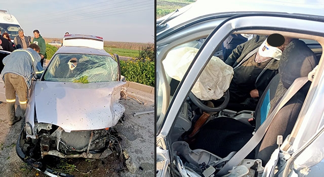 Adana’da refüjdeki ağaca çarpan otomobildeki 2 kişi yaralandı