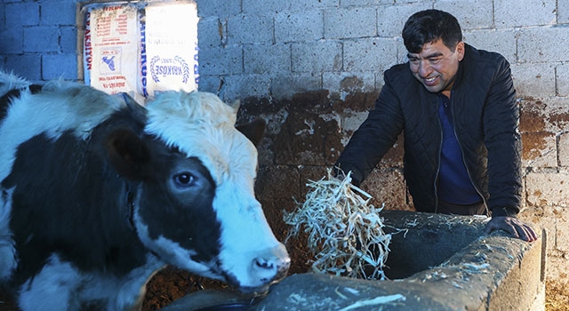 Deprem mağduru Hataylı besiciler üretimin kamu alımlarıyla desteklenmesini istiyor