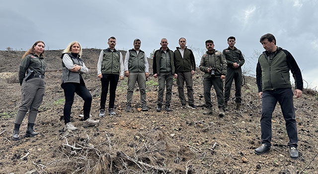 Antalya’nın Kemer ilçesinde yanan ormanlık alanın yeniden yeşermesi için çalışmalar sürüyor