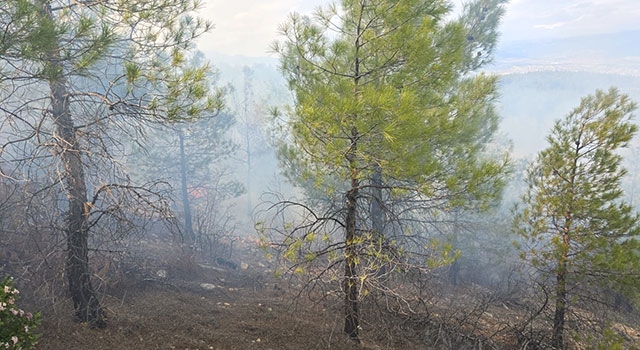 Gülnar’da çıkan orman yangını söndürüldü
