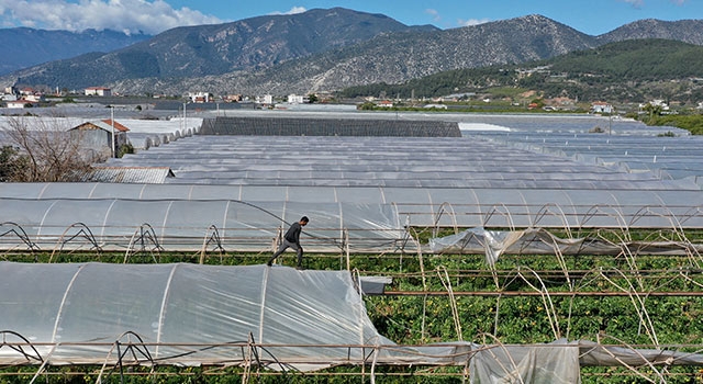 Hortumun zarar verdiği Kumluca ve Demre’de hasar tespit çalışması yapılıyor