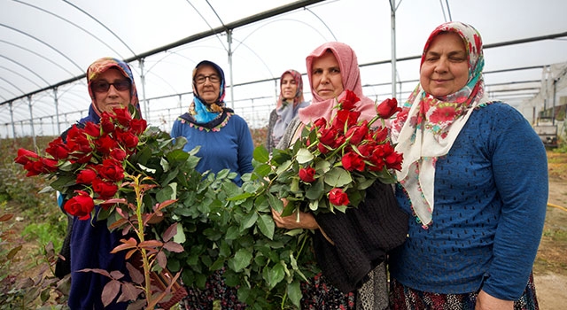 Köylü kadınlar, kurdukları gül serasını 4 yılda 4 kat büyüttü