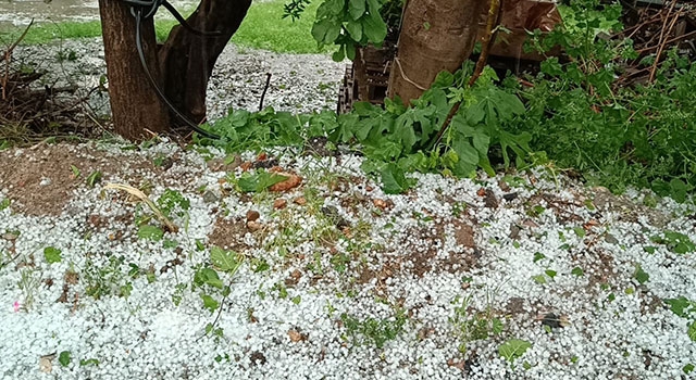 Adana’da dolu etkili oldu