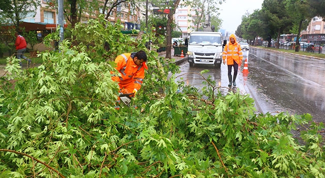 Antalya’da fırtınada devrilen ağaçlar ve uçan çatı parçaları ekiplerce temizlendi