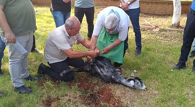 Kozan’da vatandaşlara kurban kesim eğitimi verildi