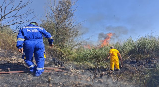 Osmaniye Kuş Cenneti'nde yangın: Haytap ekipleri bölgede