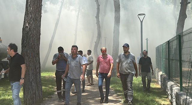 Antalya’da ormanlık alandaki bir restoranda yangın çıktı