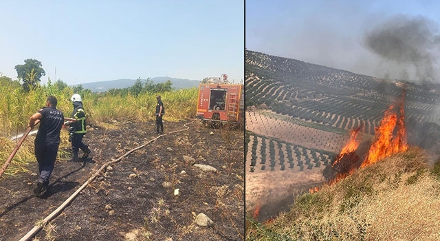 Hatay’da çıkan yangınlar söndürüldü