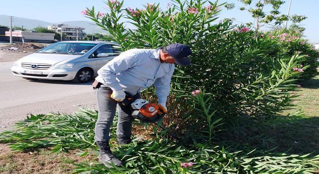 Park ve Bahçelerde Temizlik Çalışmaları Sürüyor