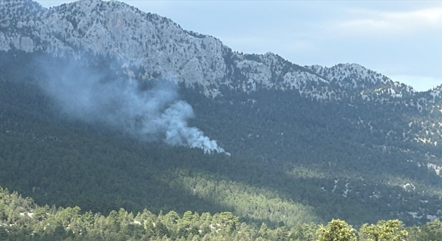 Antalya’nın Akseki ilçesinde orman yangını çıktı