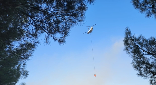 Hatay’da çıkan orman yangını kontrol altına alındı