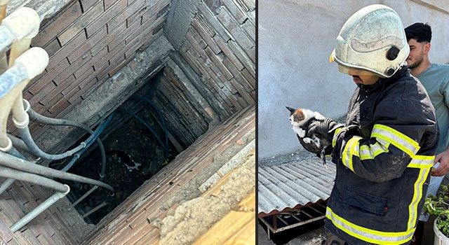 Hatay’da havalandırma boşluğuna düşen kedi yavrusunu itfaiye kurtardı