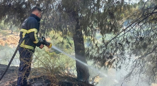 Hatay’da ormanlık ve otluk alanlarda çıkan yangınlar söndürüldü