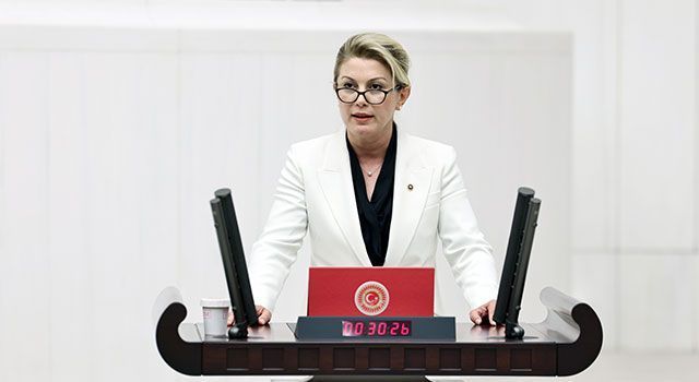 CHP’li Kaya’dan Altın Kozaya Davet