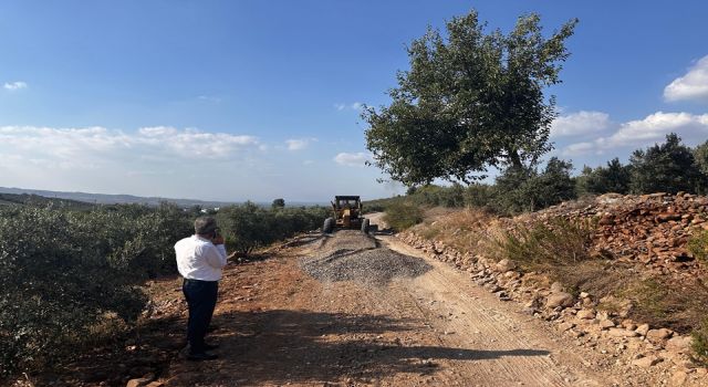 O Beldenin Zeytin Bahçelerine Giden Yolları Asfaltlandı