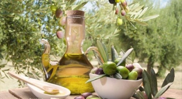 Zeytin Hasadı Öncesi Kaliteli Zeytinyağı Almak İçin Dikkat Edilmesi Gerekenler