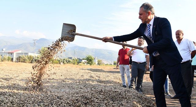 Fıstık Festivali Hazırlıkları Devam Ediyor