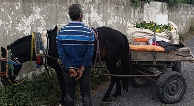 Hatay’da narenciye hırsızlığı yapan kişi yakalandı