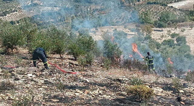 Hatay’da zeytinlik alanda çıkan yangın söndürüldü