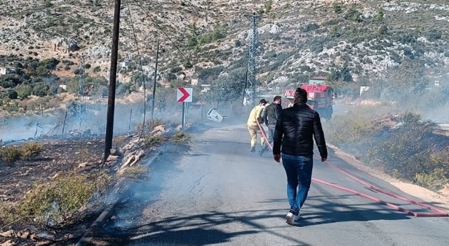 Mersin’de zirai alanda çıkan yangın ormana sıçramadan söndürüldü