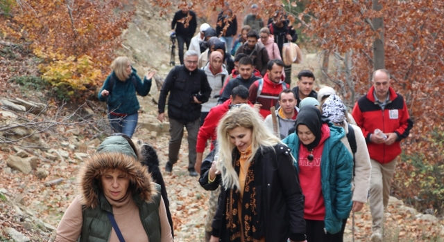 Andırın’da kayın ormanları güz renkleriyle doğa tutkunlarını ağırlıyor