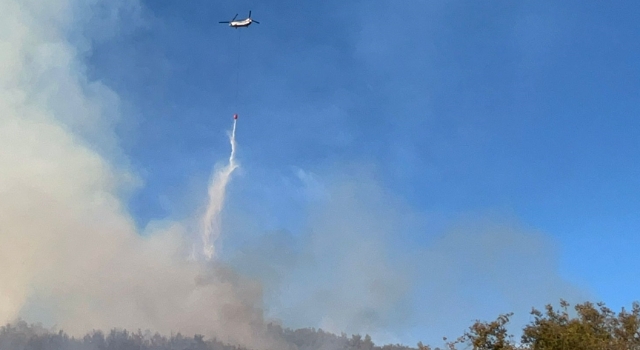 Antalya’da ormanlık alanda çıkan yangına müdahale ediliyor