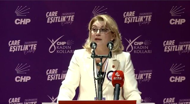 CHP’li Kaya, Çare Eşitlik Çalıştayında Konuştu