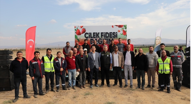 Hatay’da depremzede çiftçilere 500 bin çilek fidesi dağıtıldı