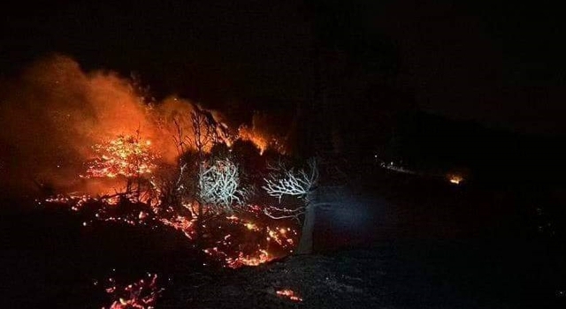 Hatay’da ormanlık alanda çıkan yangın söndürüldü