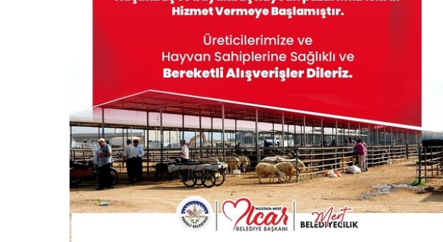 Kadirli'de Mavi Dil Hastalığı Son Buldu, Hayvan Pazarları Yeniden Açıldı